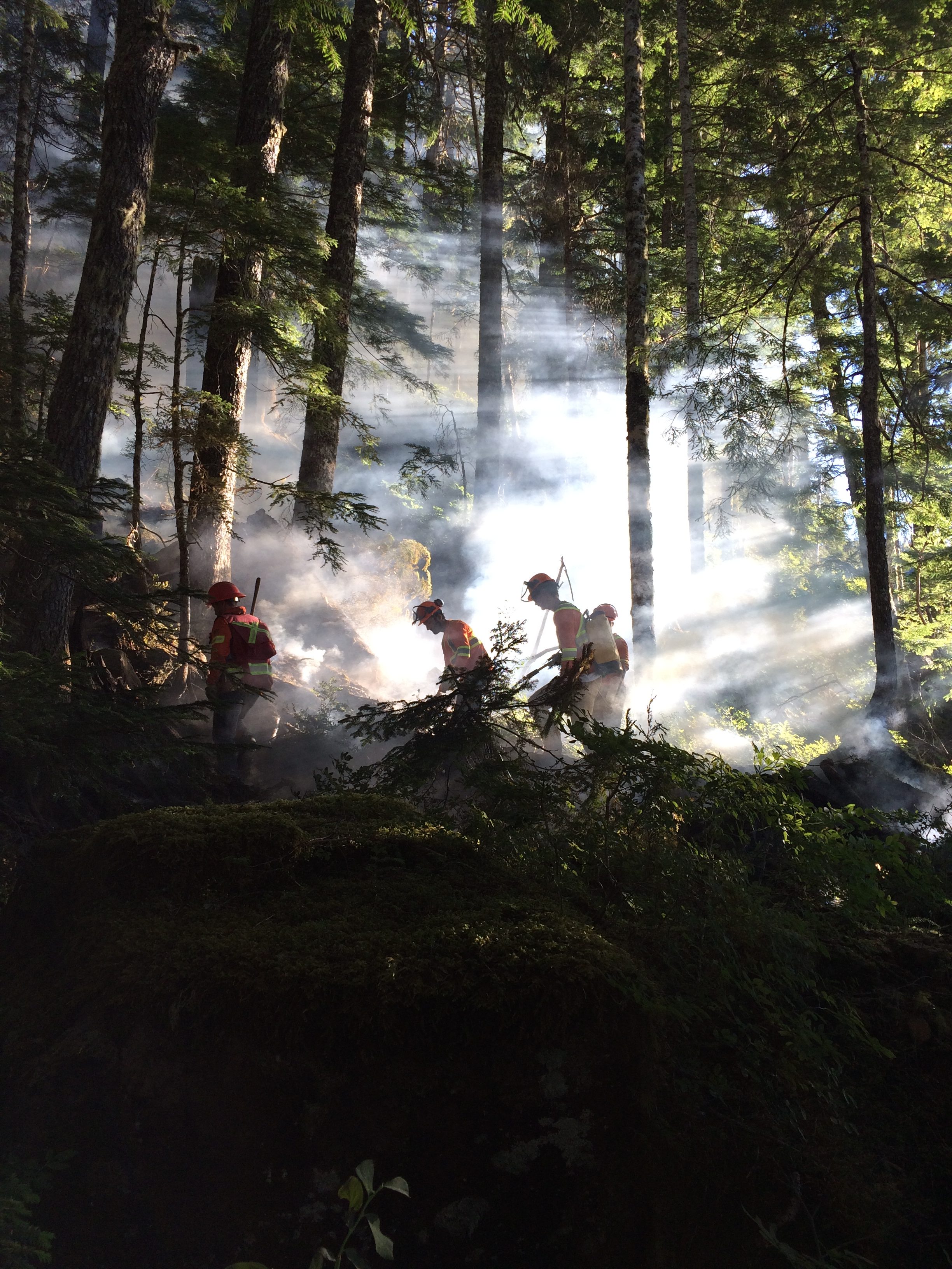Three figures walking through tall trees surounded by smoke as sunlight streams from the right of the picture.