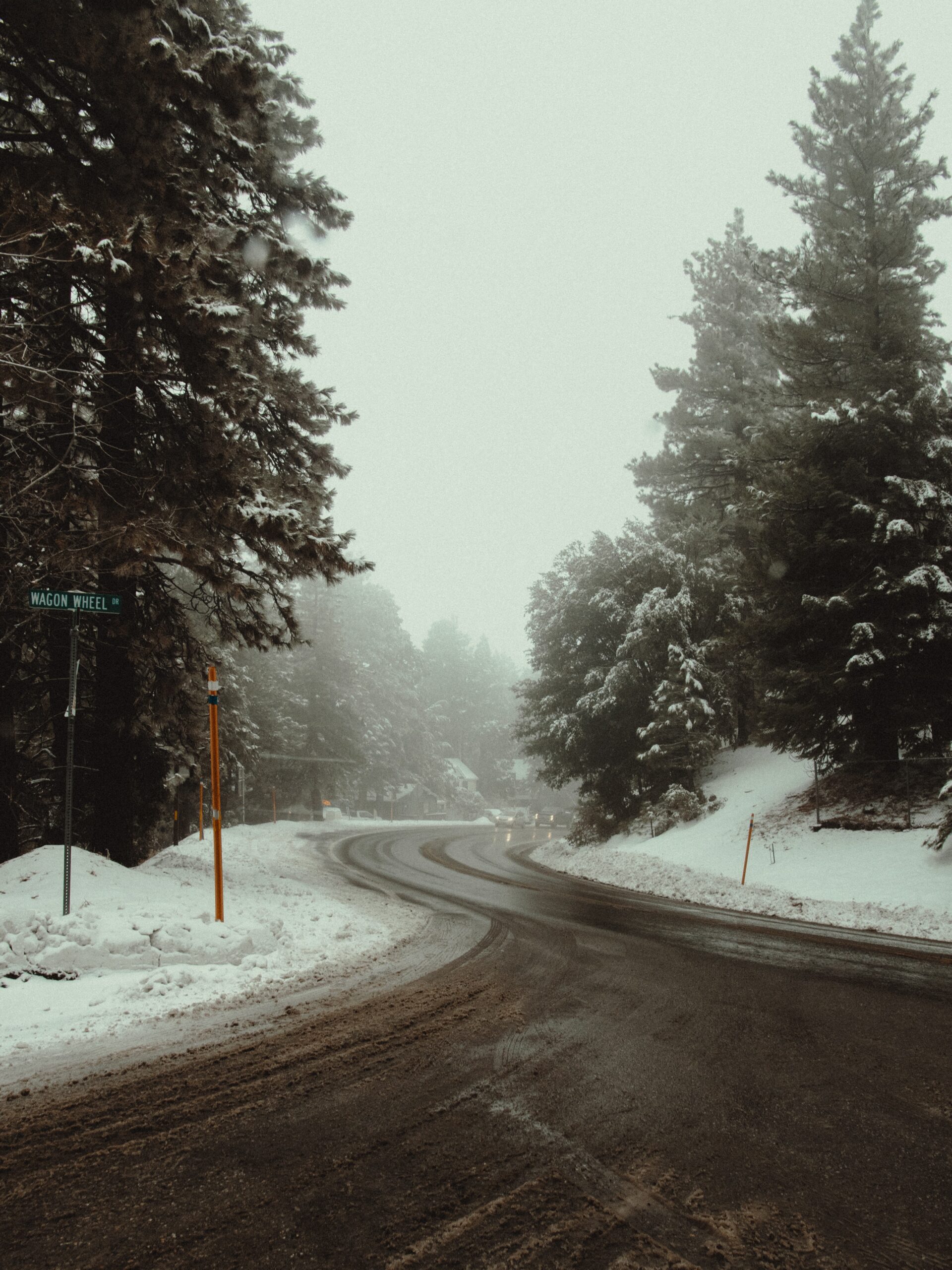 The image frames a wet road that is curving to go behind a forest of trees. There is thick green trees on either side of the road that is covered in snow.
