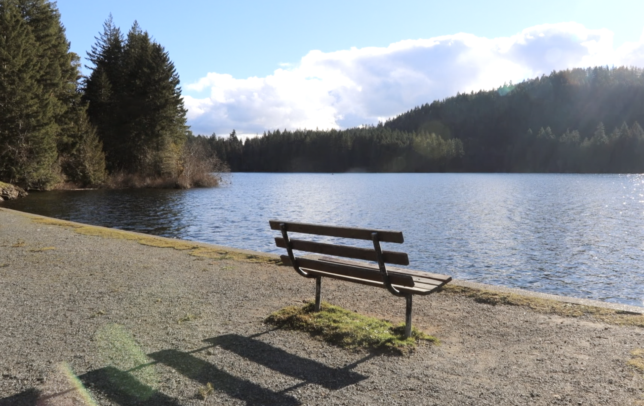 A sunny bench on the lakeside